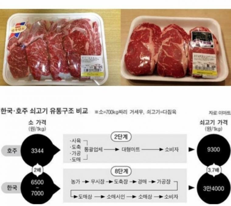 한국과 호주 소고기 유통구조 비교.jpg