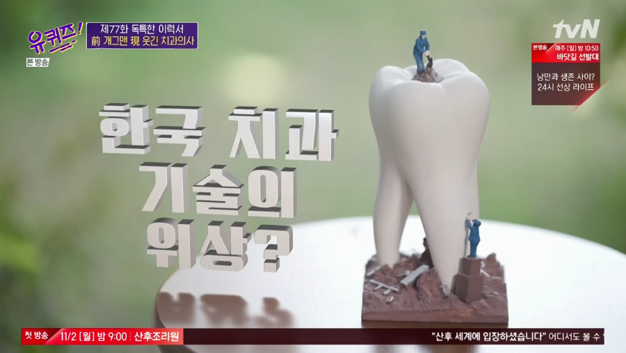 한국 치과의 위엄