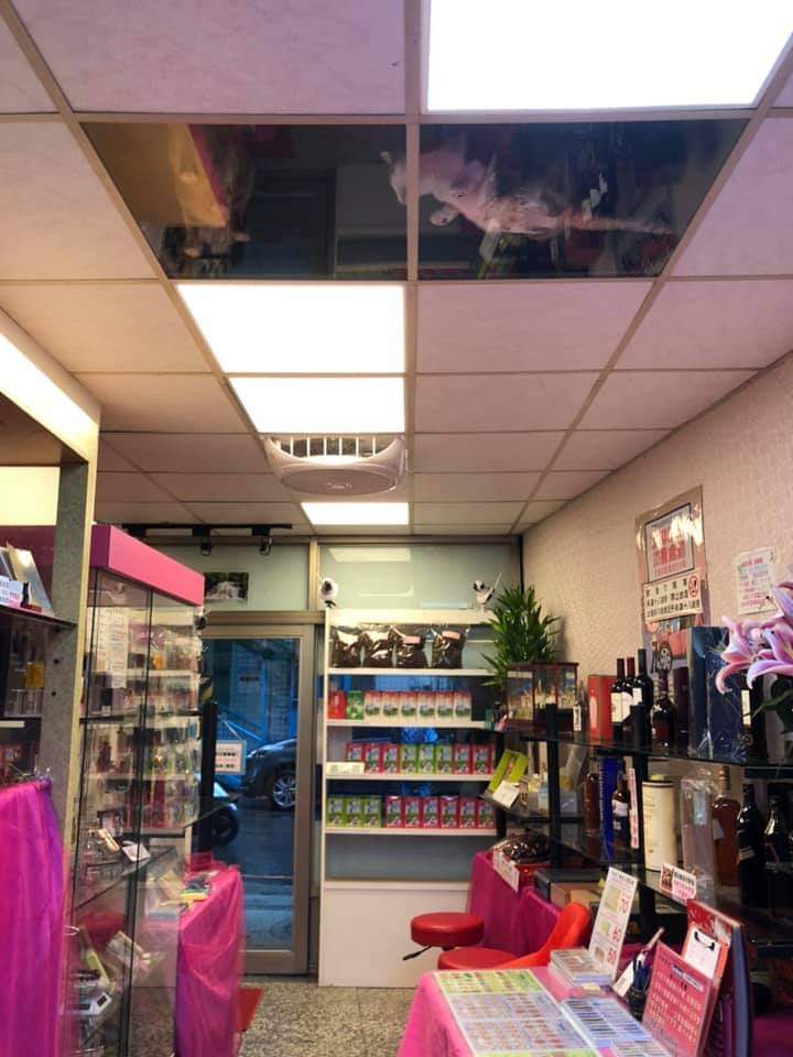 고양이한테 감시당하는 가게
