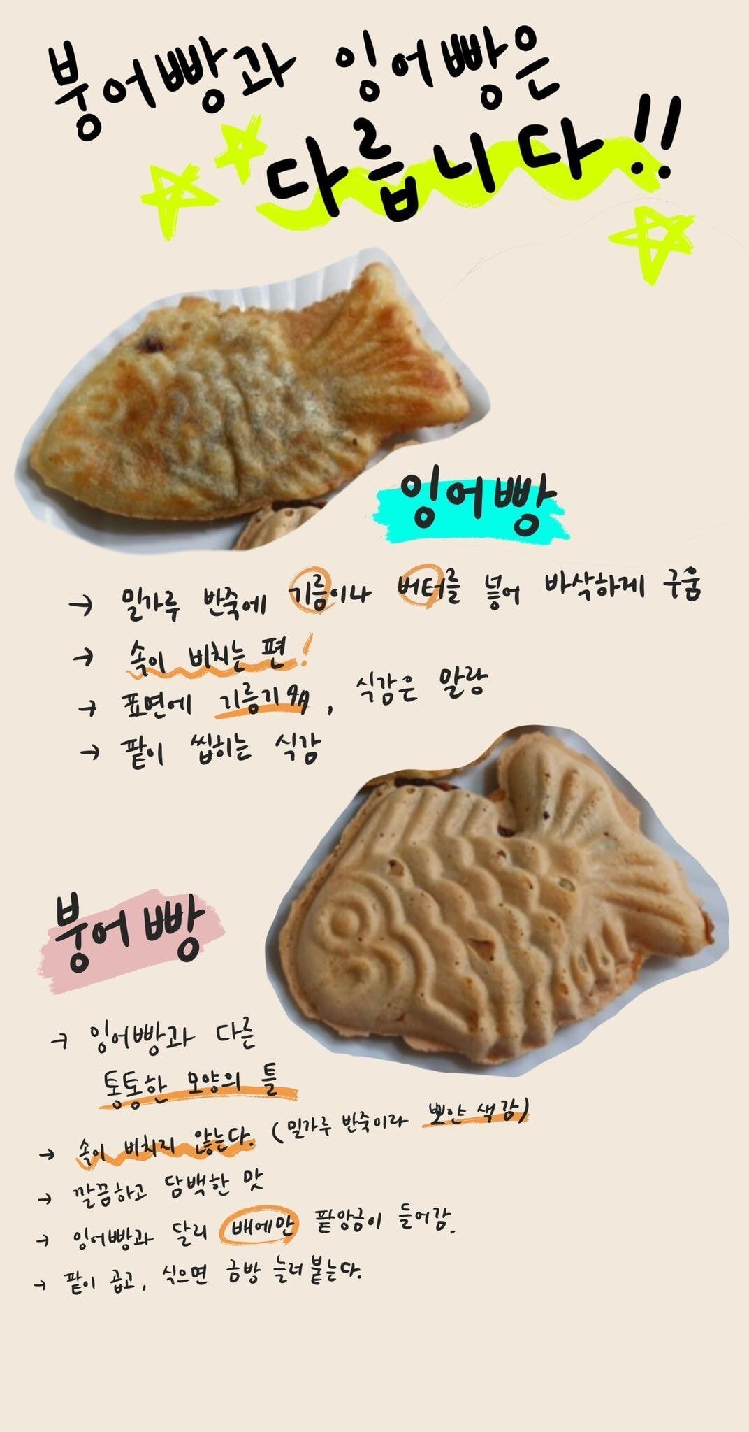 The Difference Between Bungeoppang and CarpBread