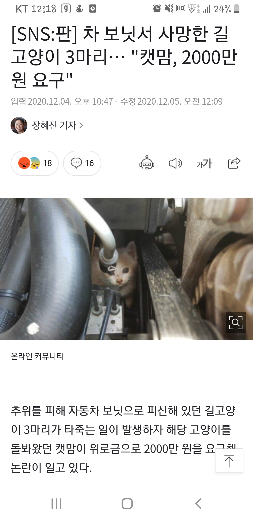 어제자 캣맘 레전드ㄷㄷㄷㄷ