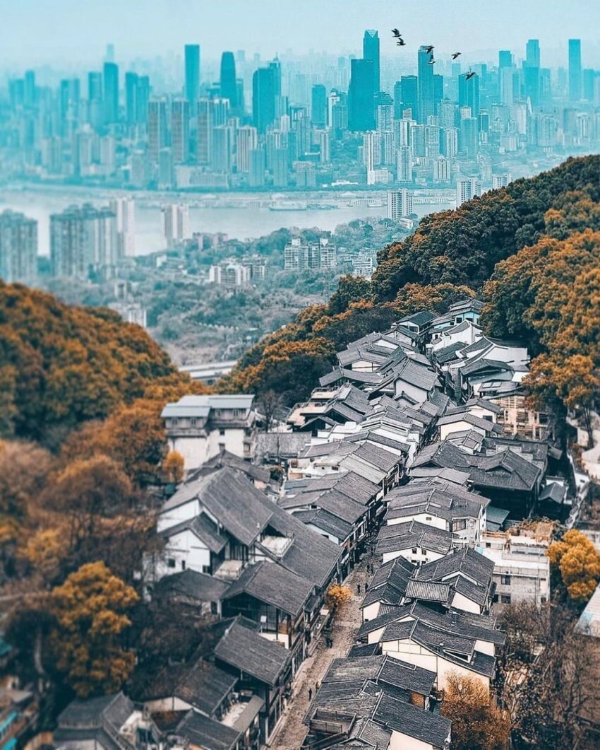 서울 도시 개발을 어찌해야하는지 보여주는 사례