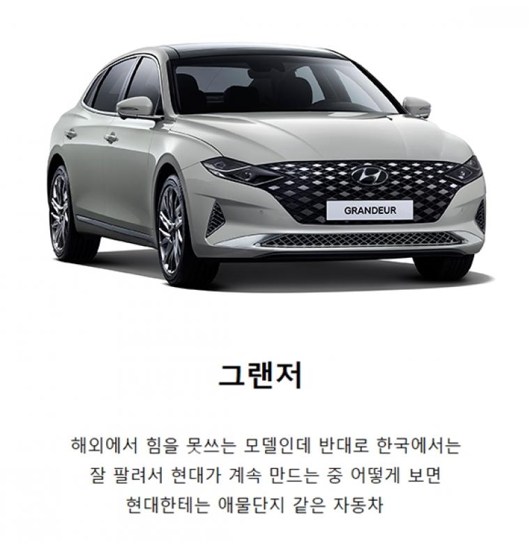한국에서만 인기가 많은 자동차