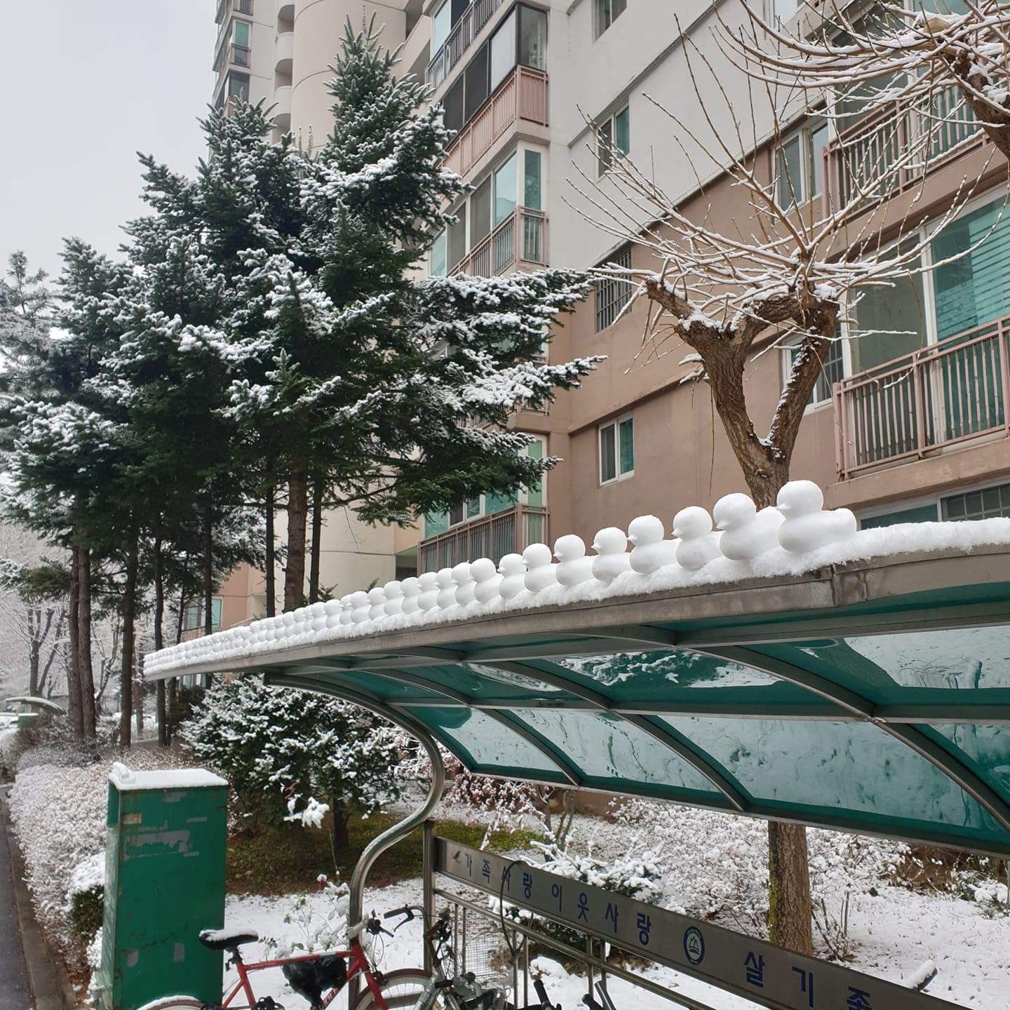 A person excited by the snow.jpg