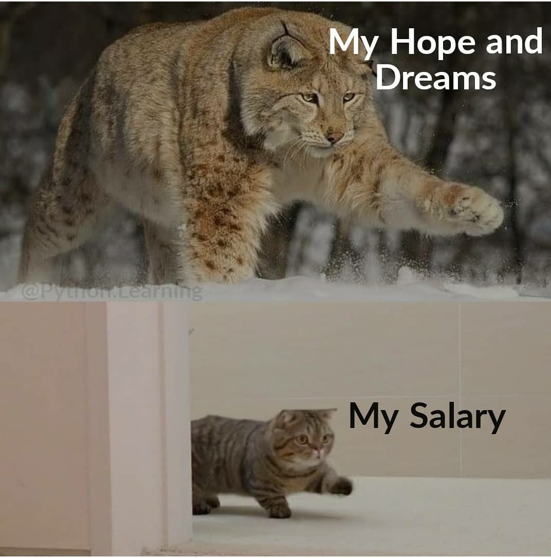 The salary I want vs actual salary