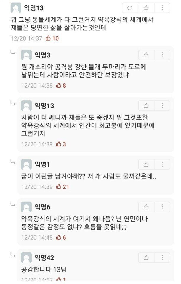 살인 들개들 어쩐다냐!!  - 안타 깝네요