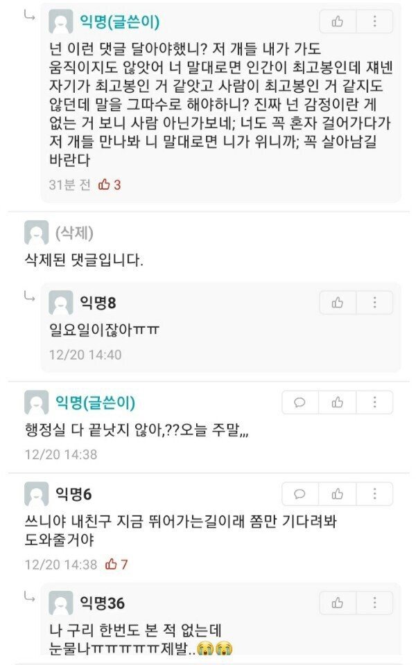 살인 들개들 어쩐다냐!!  - 안타 깝네요