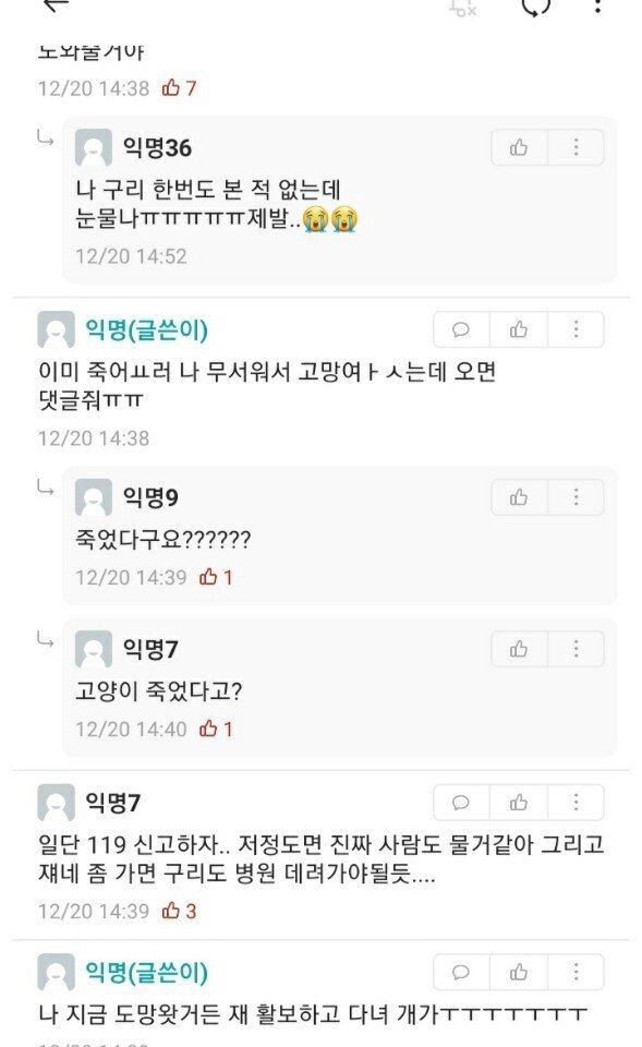 살인 들개들 어쩐다냐!!  - 안타 깝네요