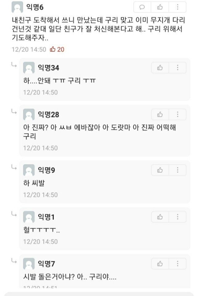 살인 들개들 어쩐다냐!!  - 안타 깝네요