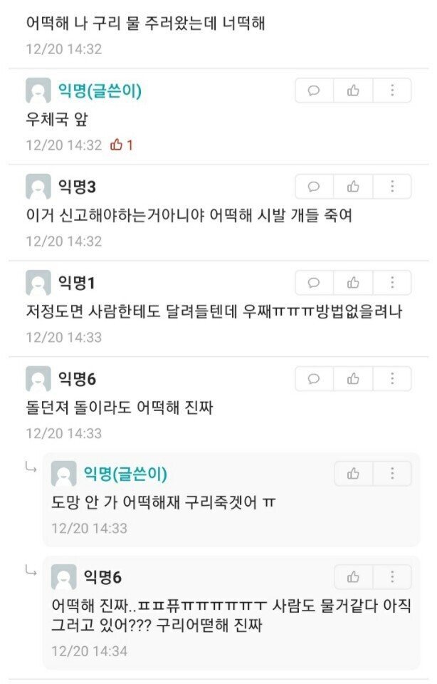 살인 들개들 어쩐다냐!!  - 안타 깝네요