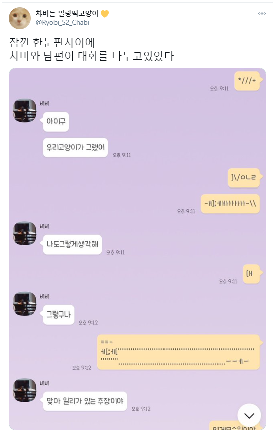 고양이와 카톡 대화를 나눈 남편