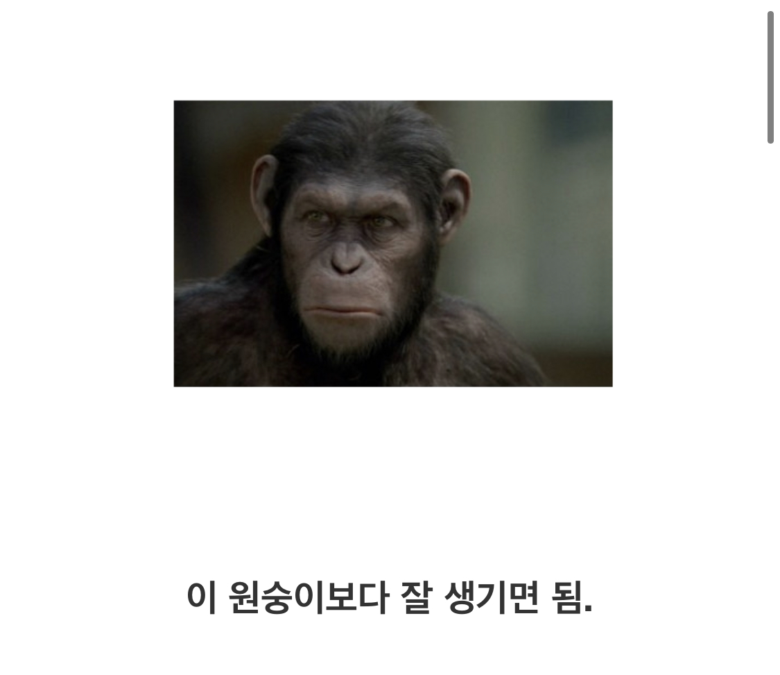 Controversy over the monkey's remarks.jpg