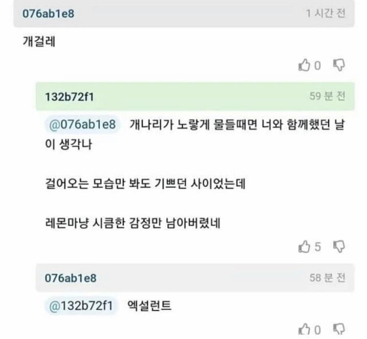 젖탱이 개걸레 3행시.jpg