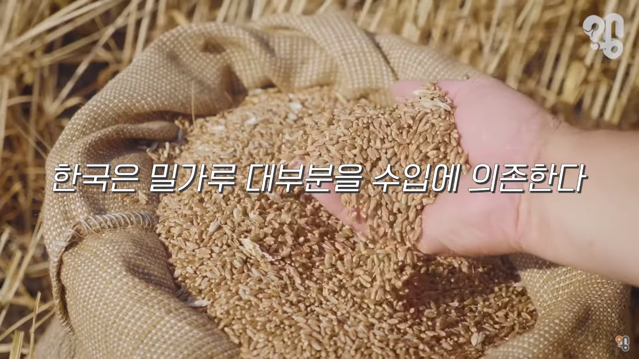 The real reason why Korean bread is expensive