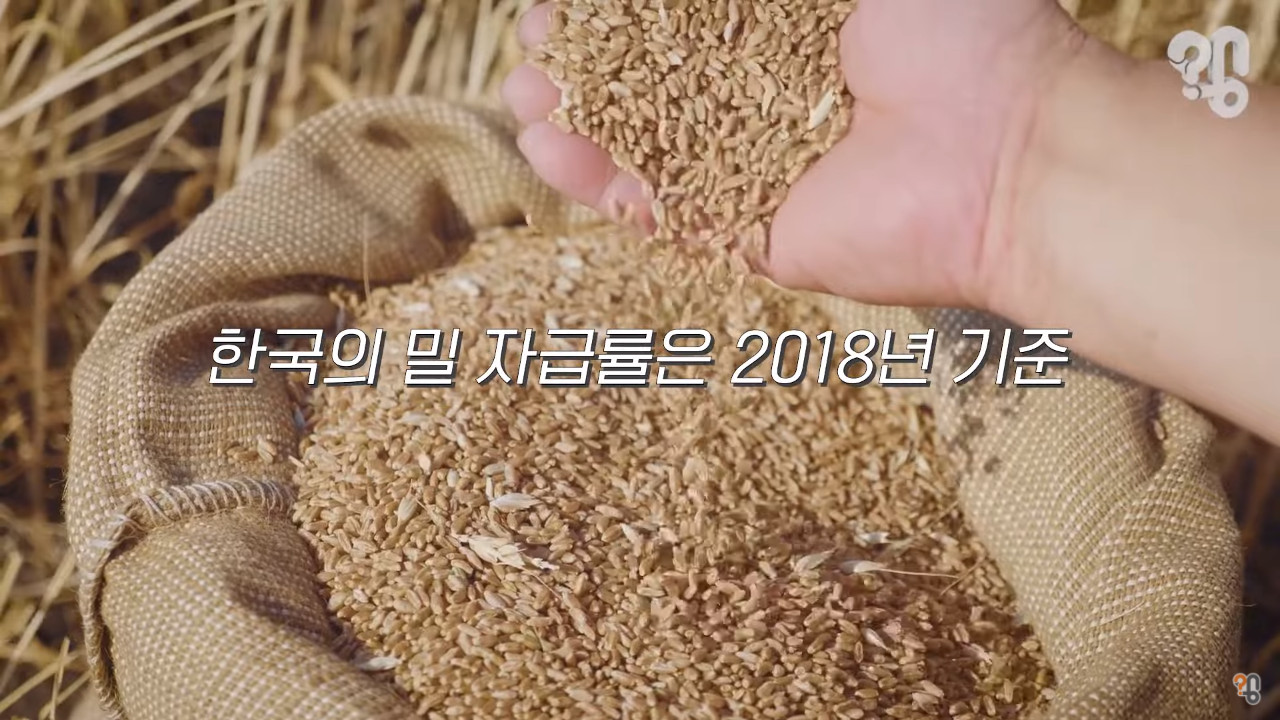 The real reason why Korean bread is expensive