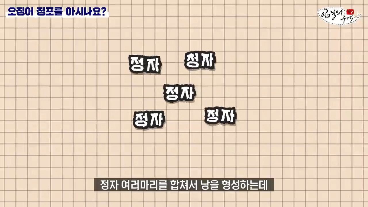 오징어 먹을때 주의해야 할 것