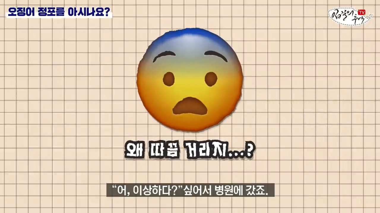 오징어 먹을때 주의해야 할 것