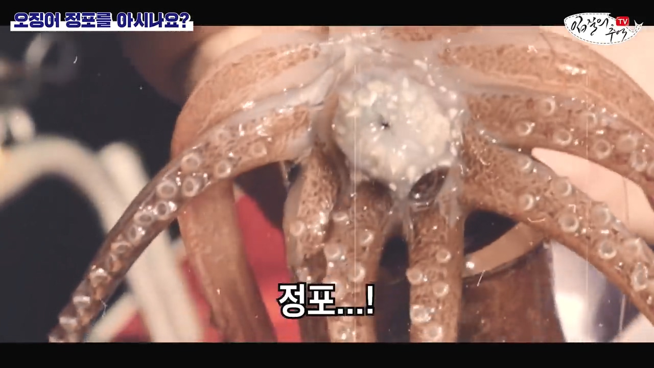 Be careful when eating squid