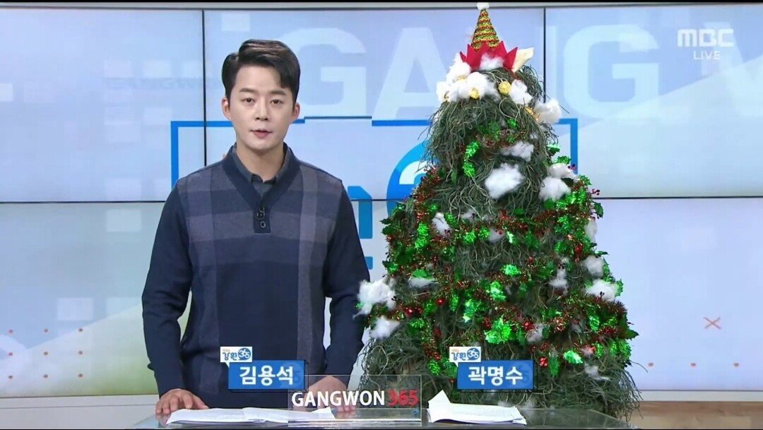 Gangwon Provincial Broadcasting System hosted by Christmas Tree