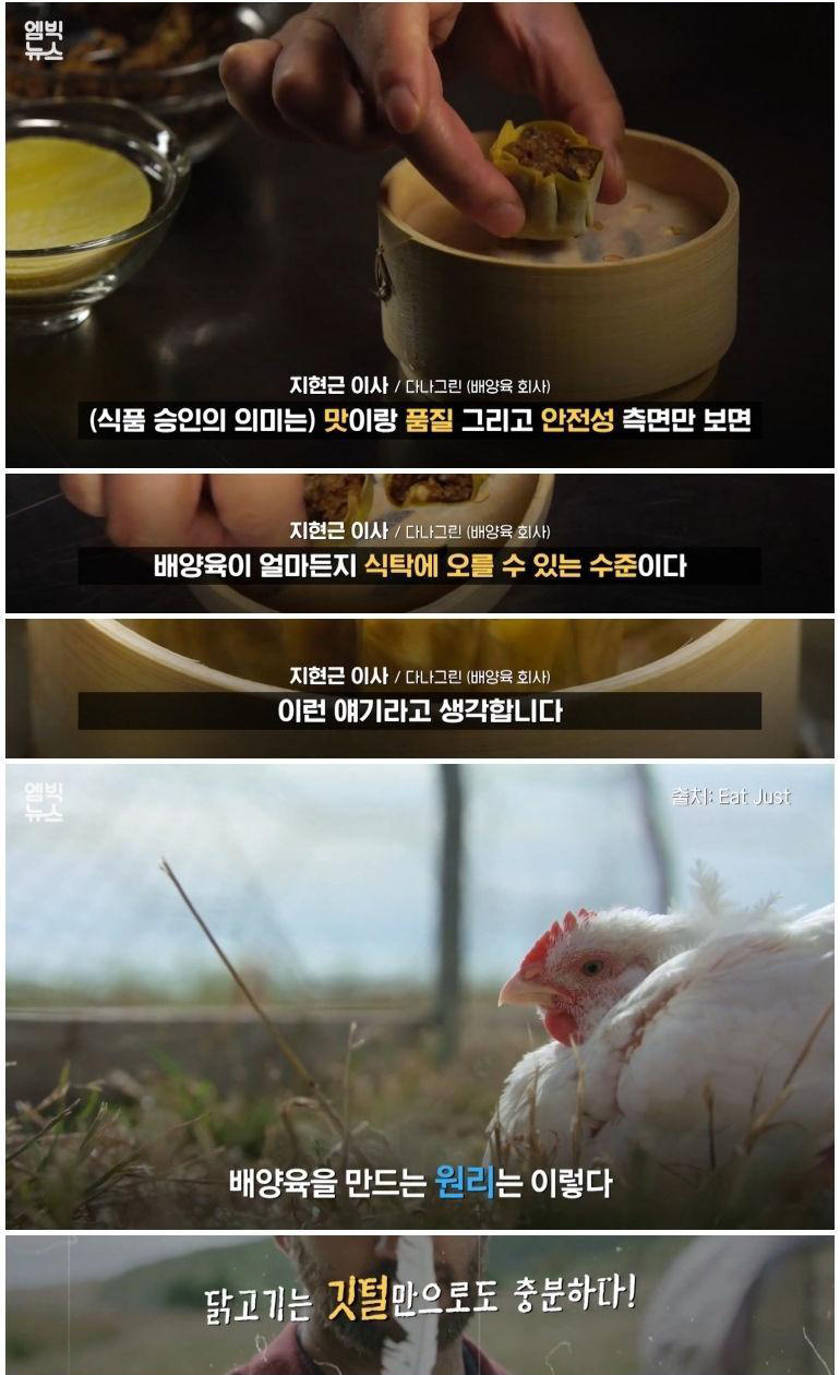 실험실에서 만든 고기 '배양육'