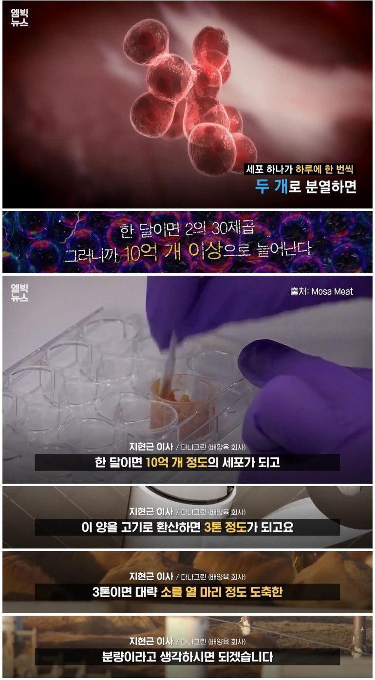 실험실에서 만든 고기 '배양육'