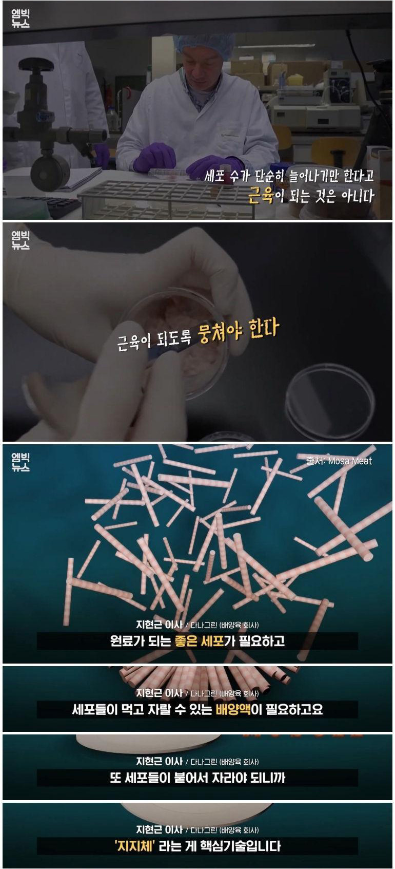 실험실에서 만든 고기 '배양육'