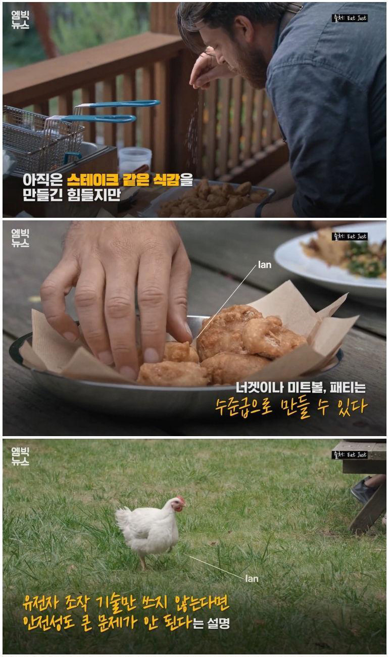 실험실에서 만든 고기 '배양육'