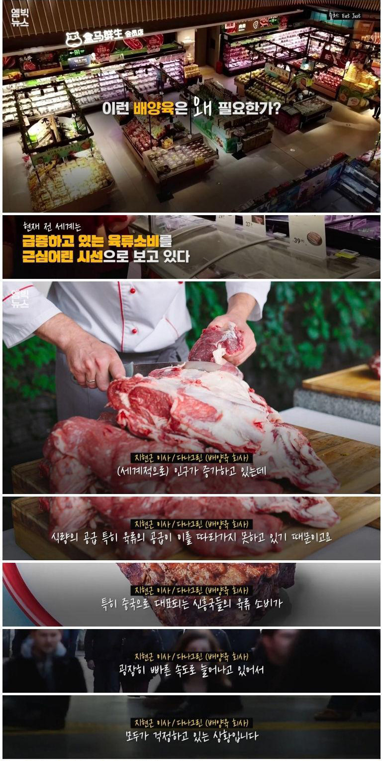 실험실에서 만든 고기 '배양육'