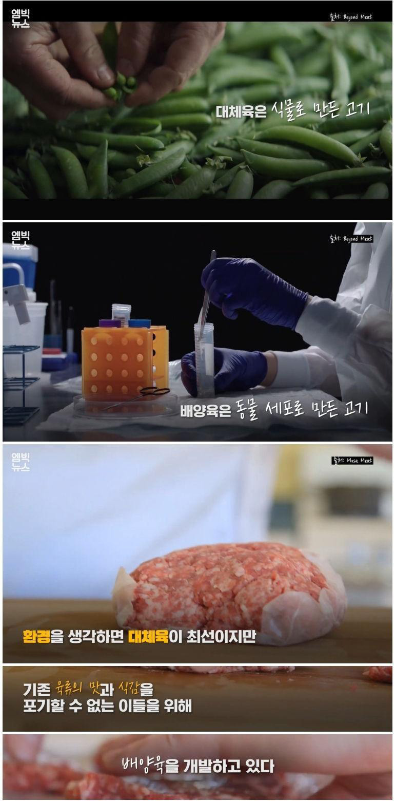 실험실에서 만든 고기 '배양육'