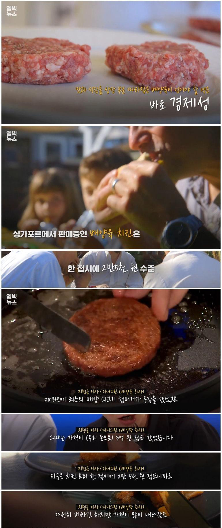 실험실에서 만든 고기 '배양육'