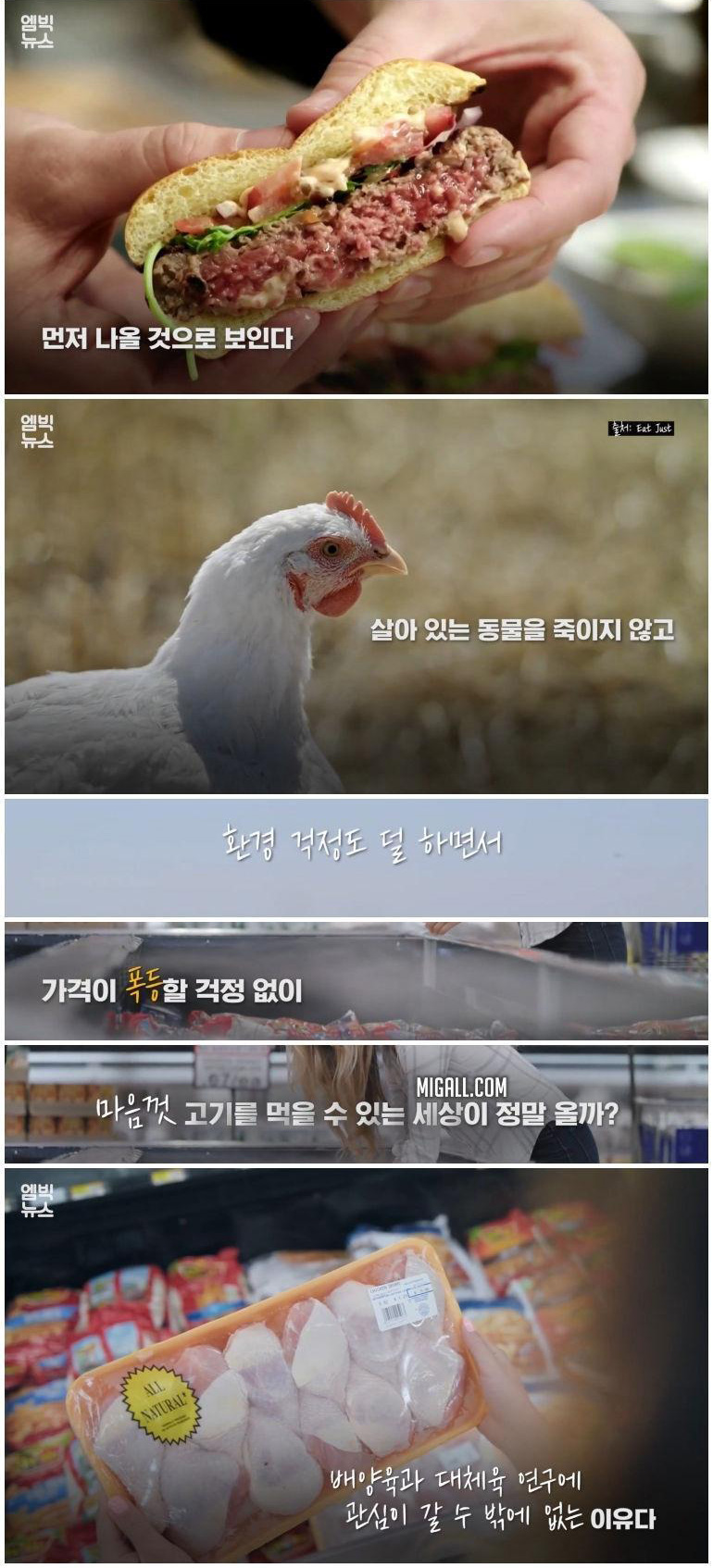 실험실에서 만든 고기 '배양육'