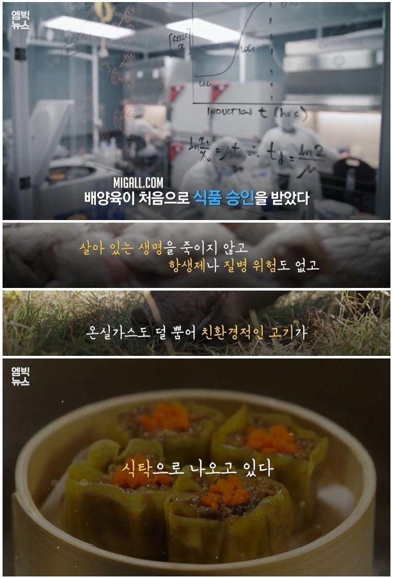 실험실에서 만든 고기 '배양육'