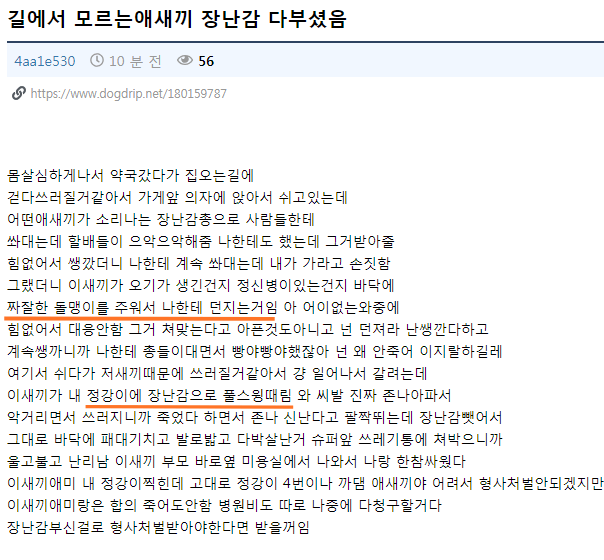 "길가에서 모르는 애새.끼 장난감 다부셨음".jpg