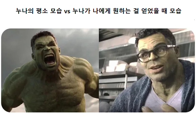 누나의 평소 모습 vs