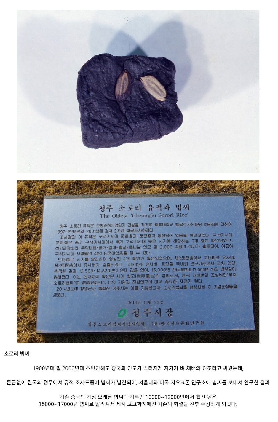 한국이 '쌀의 민족'인 이유류 甲