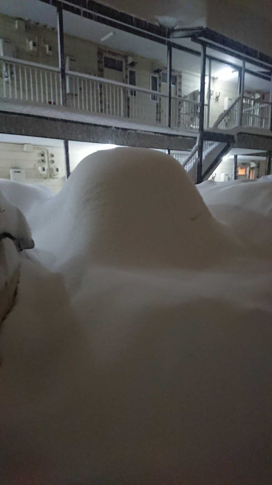 the snow-covered situation in Japan