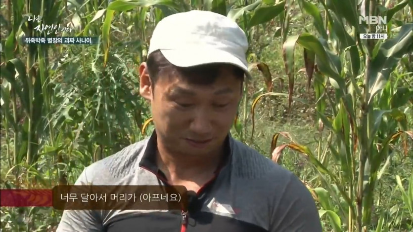 native honey noodles of natural people