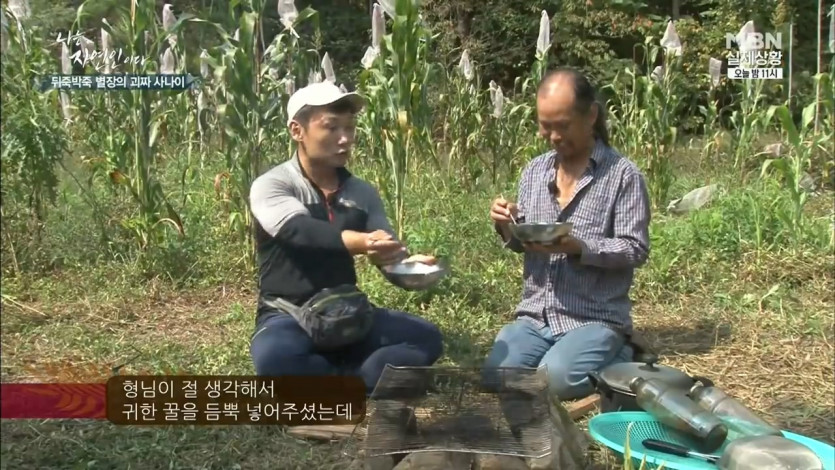 native honey noodles of natural people