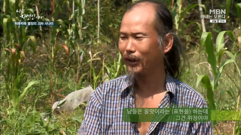 native honey noodles of natural people