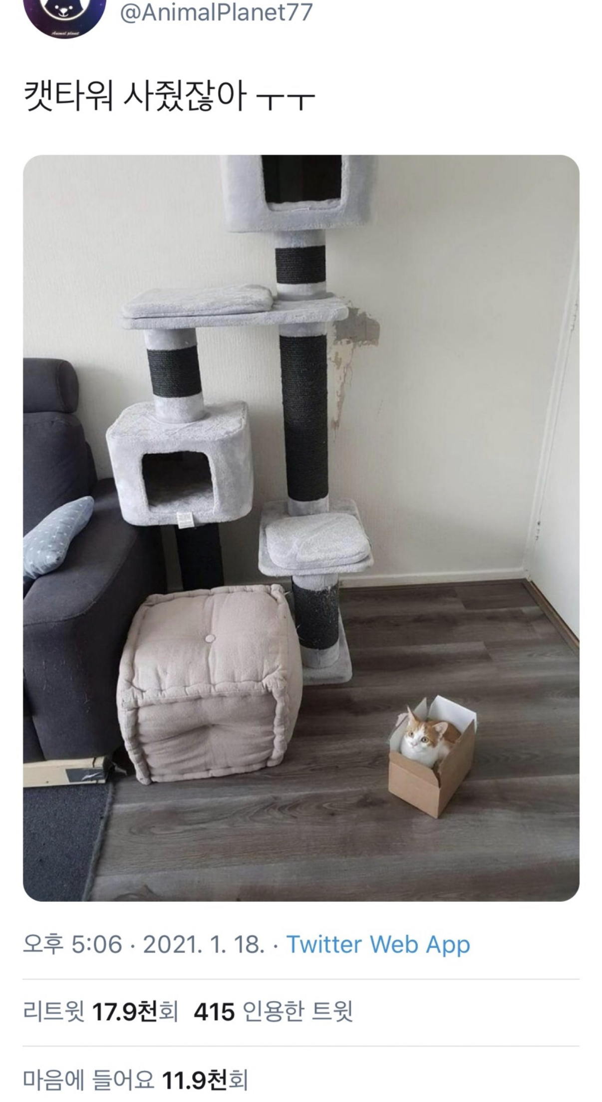 You bought me a cat tower.