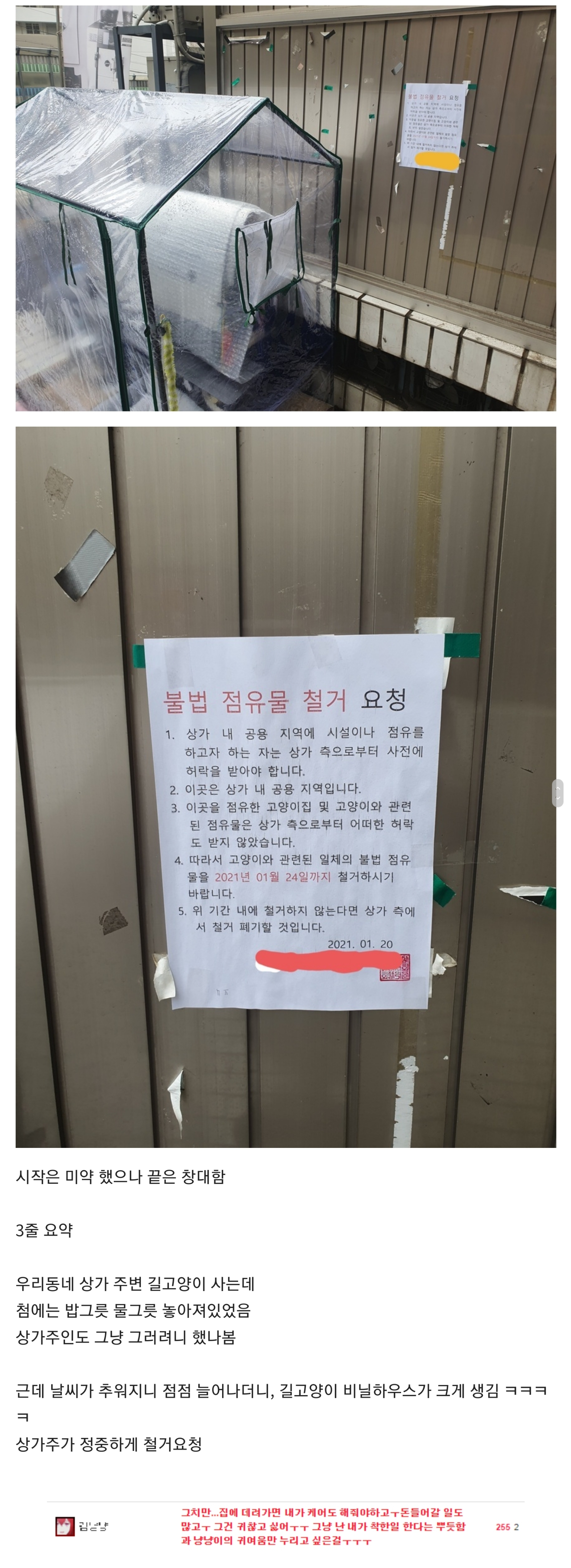 점점 발전하는 캣맘