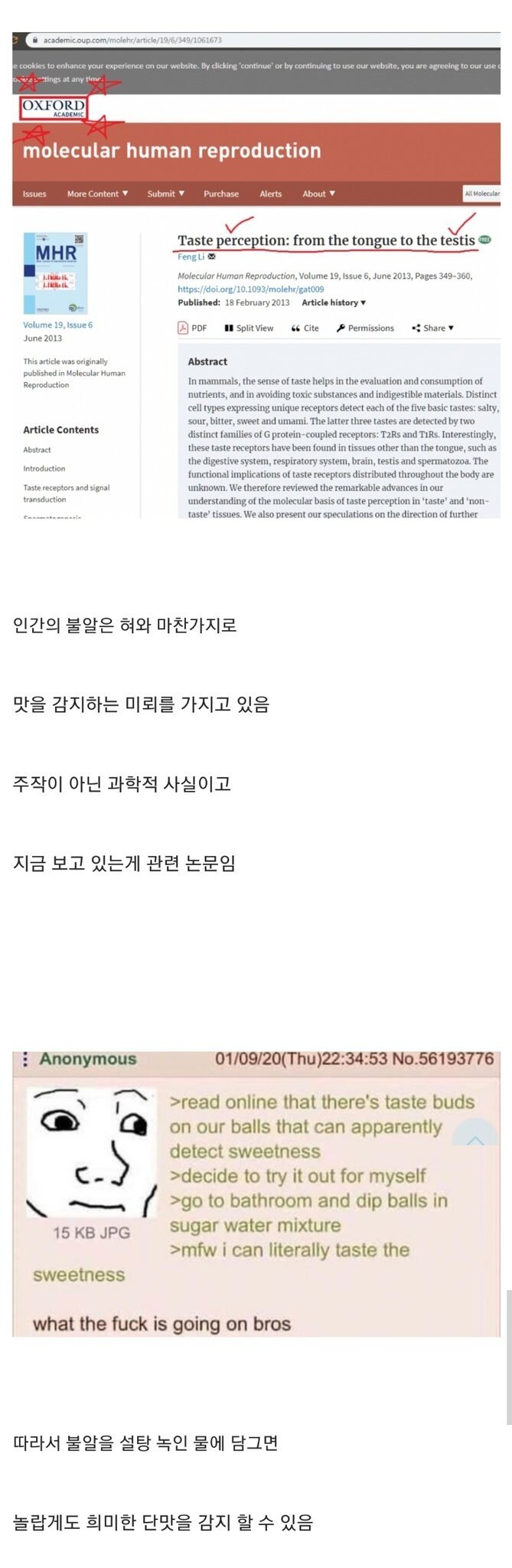 속보) 제 3의 미각 기관 발견