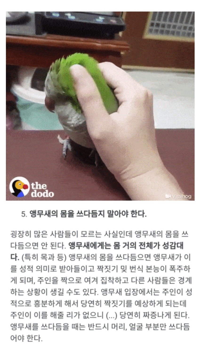 우효ww음탕한 암컷년, 전신이 성감대인거냐고www