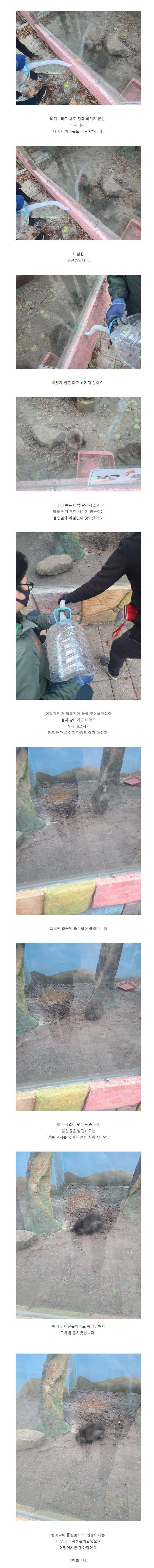 The devastating reality of a closed zoo in Daegu.
