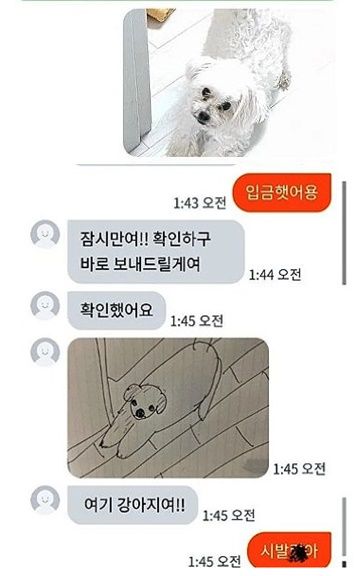 당근마켓 그림 그려드립니다 사기사건