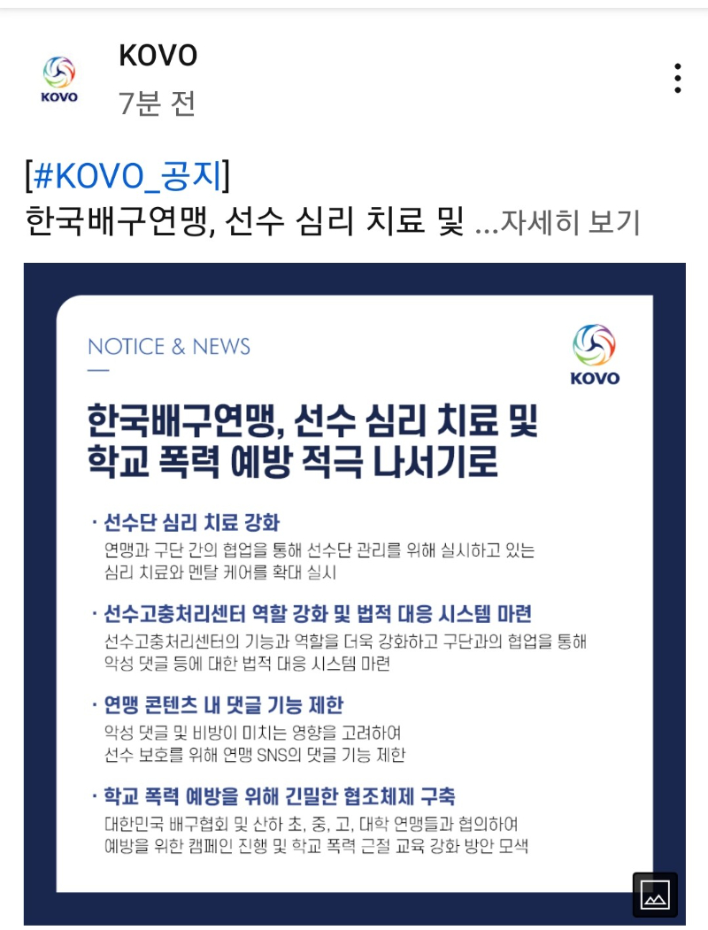 배구협회  학교폭력 쌍둥이자매 특별 조치