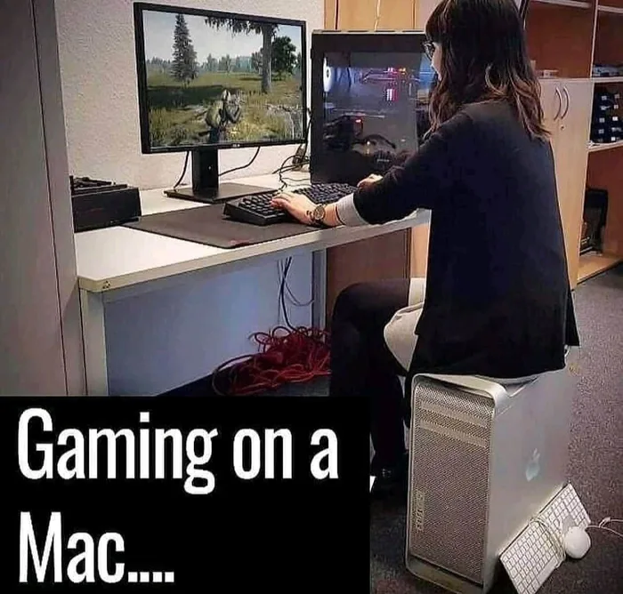 What Western gamers think of Mac