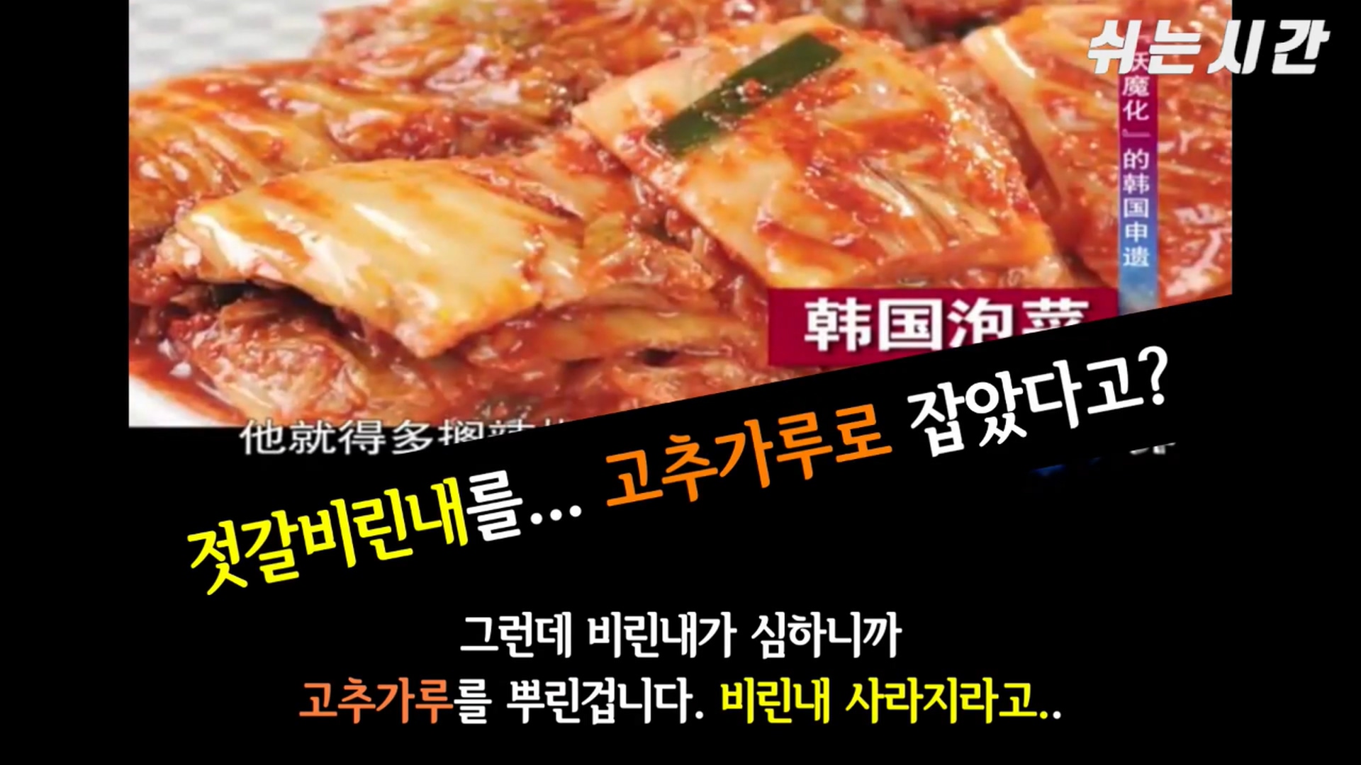 Chinese Professors' Thoughts on Kimchi