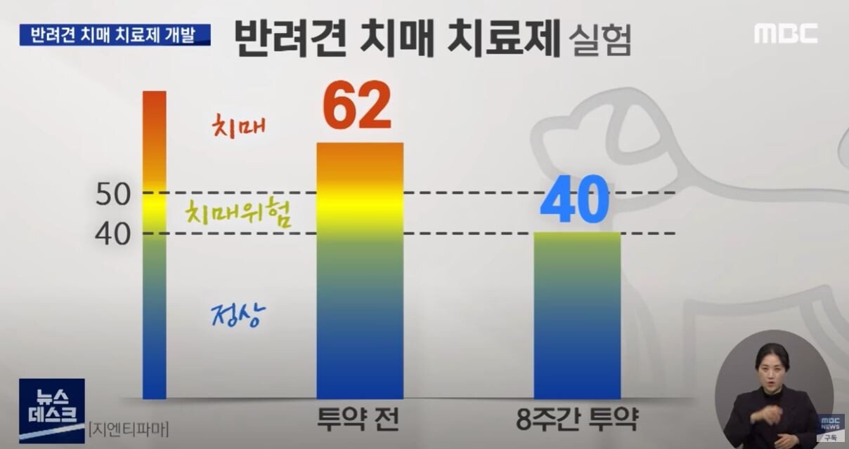 Korean Researchers Successfully Developed Dog Dementia Treatment