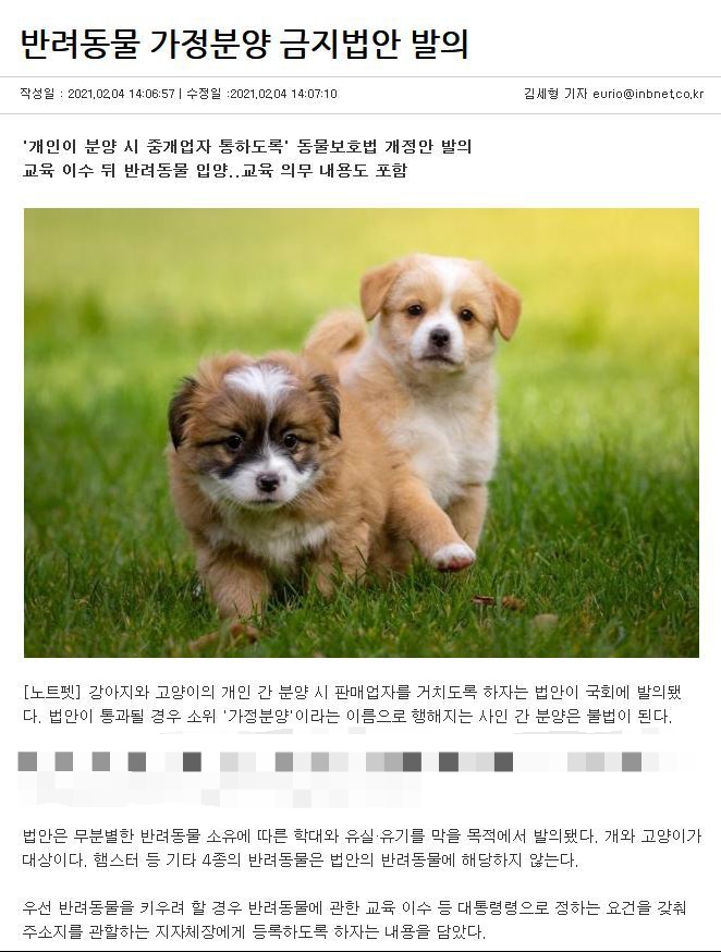 반려동물 가정분양 금지법안 발의